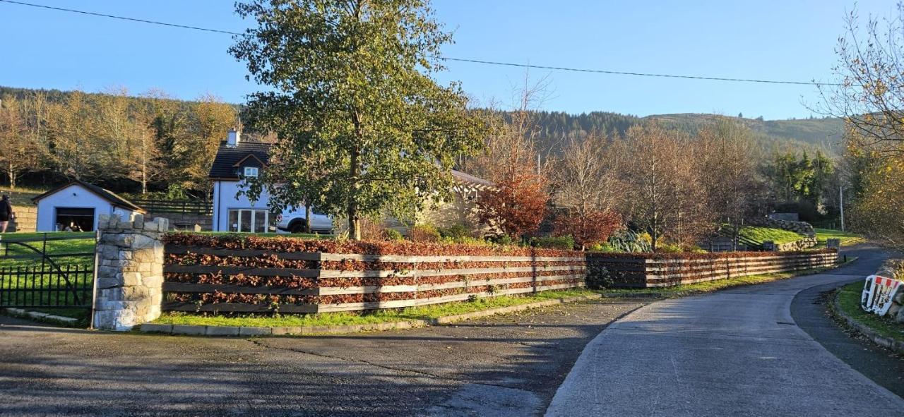 Rostrevor Valley House -Mountainside Hot Tub View Newry Exterior foto